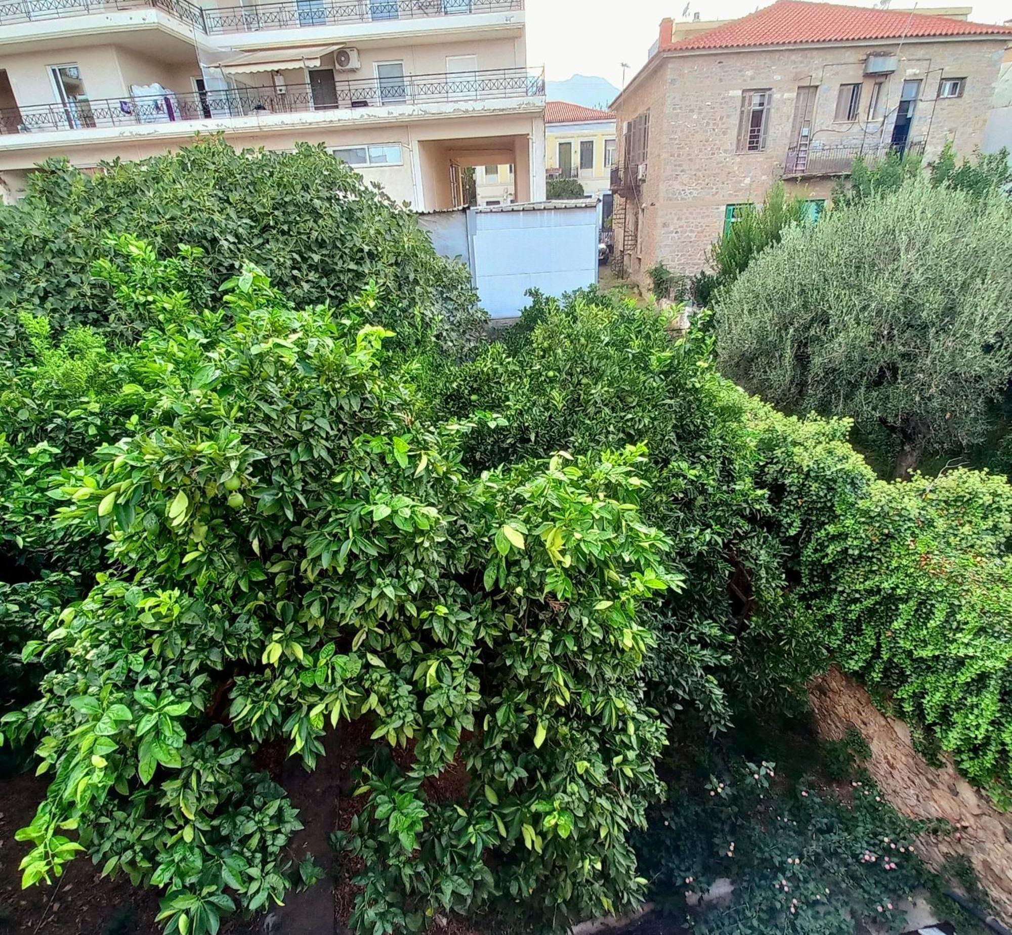 Zeta'S Vintage Garden House Villa Sparta Dış mekan fotoğraf